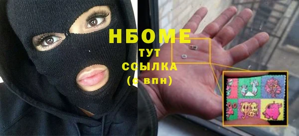 ГАЛЛЮЦИНОГЕННЫЕ ГРИБЫ Осинники